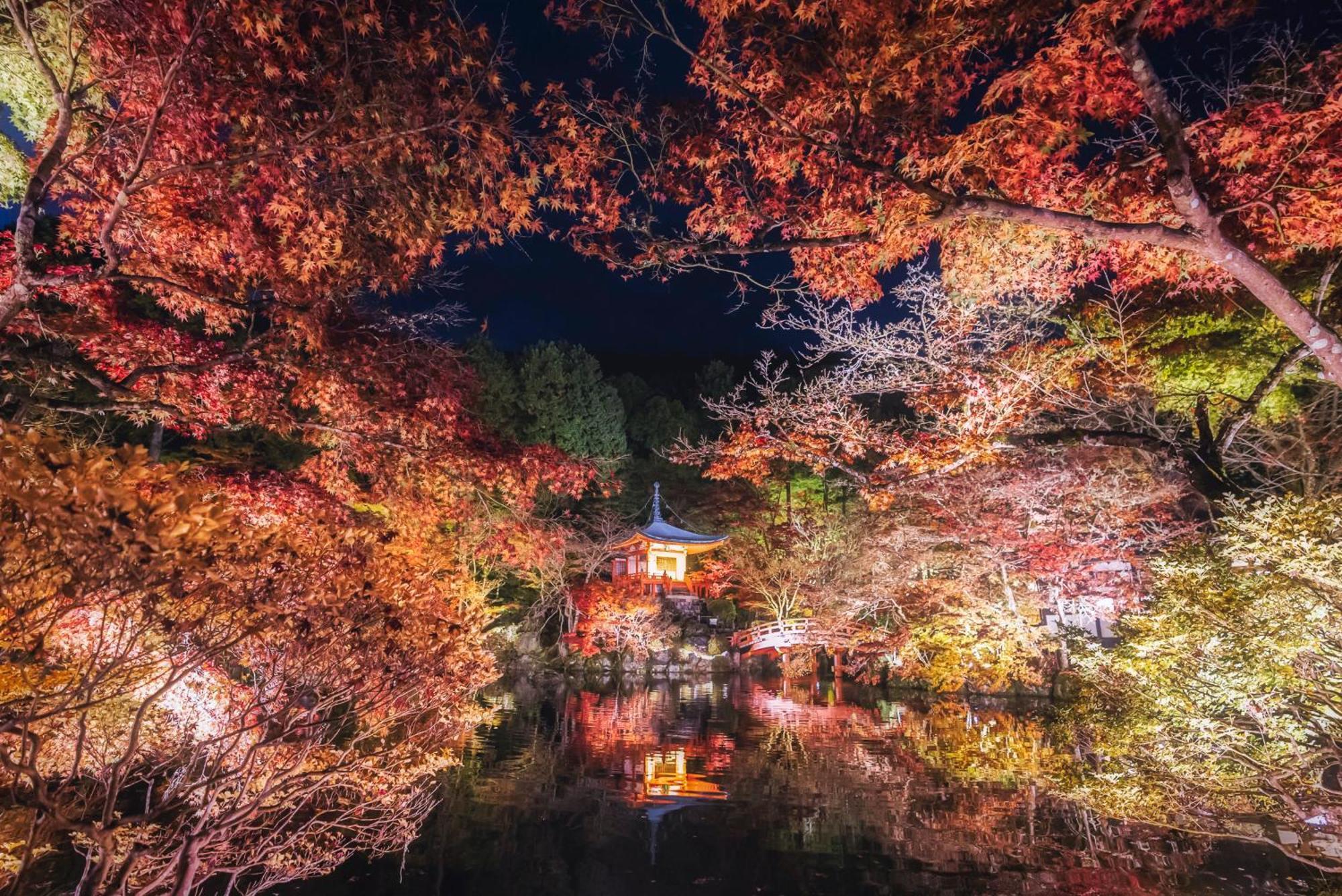 酒店 Omo5 Sanjo By Hoshino 京都