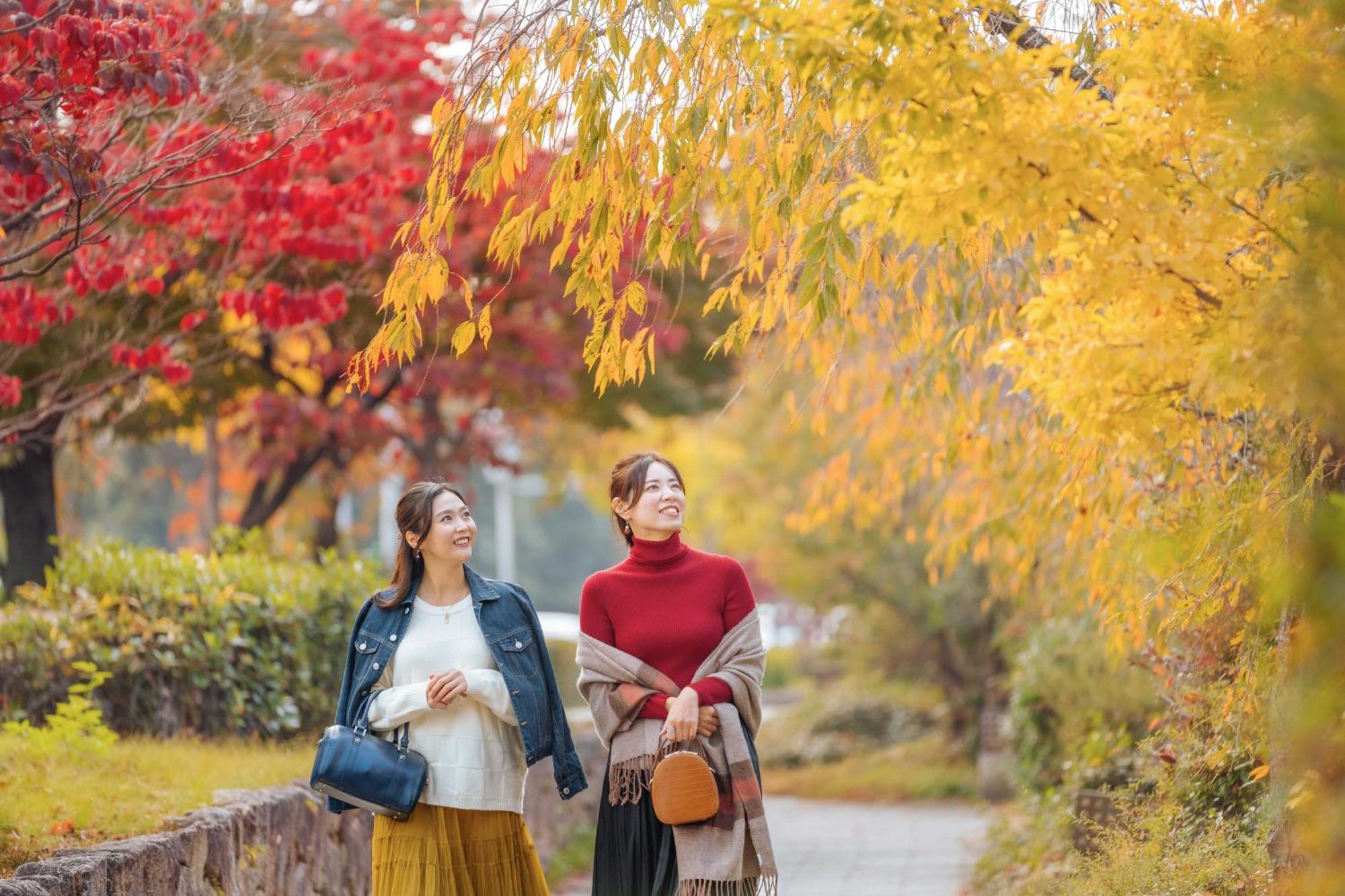 Omo5 Sanjo By Hoshino 4* 京都